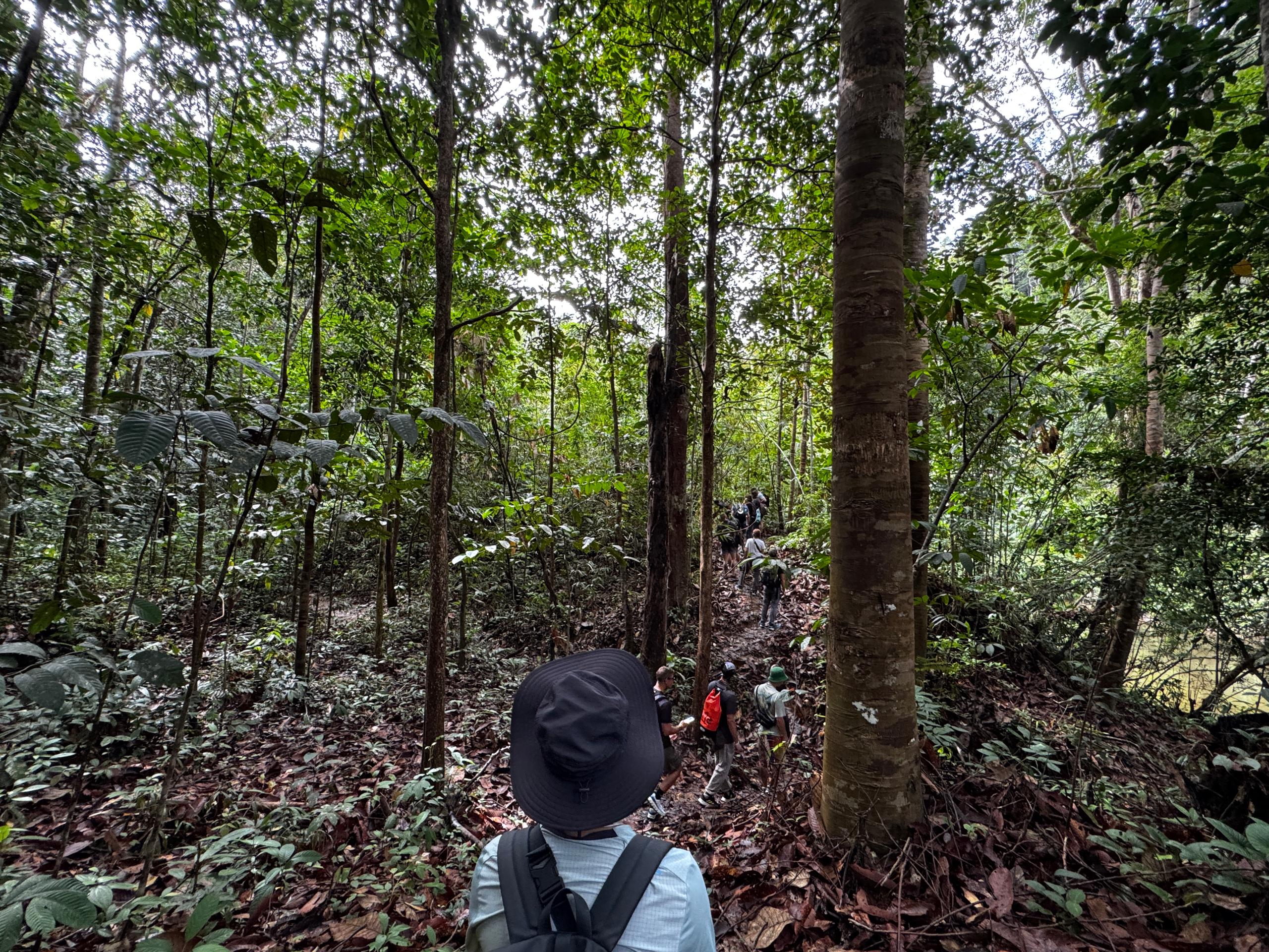 Image of 3D2N BATANG AI ADVENTURE