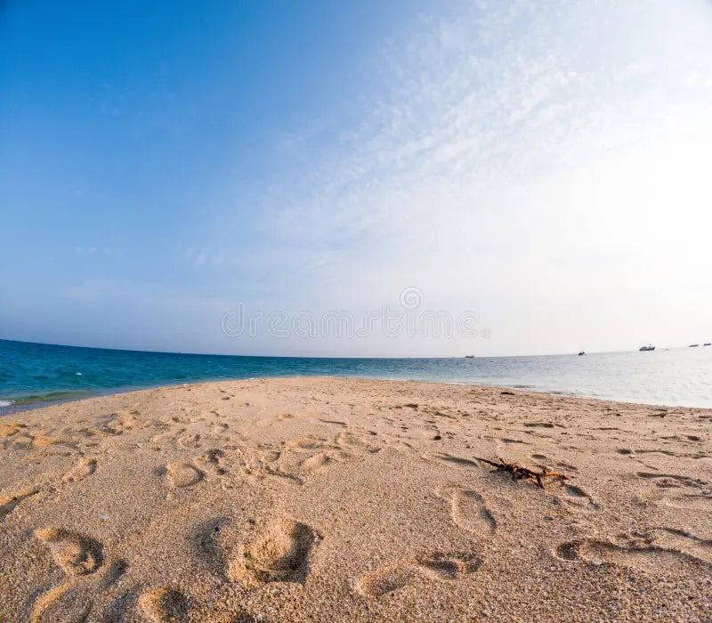 [4-Star] Majestic Mount Bromo & Malang City Highlights Tour