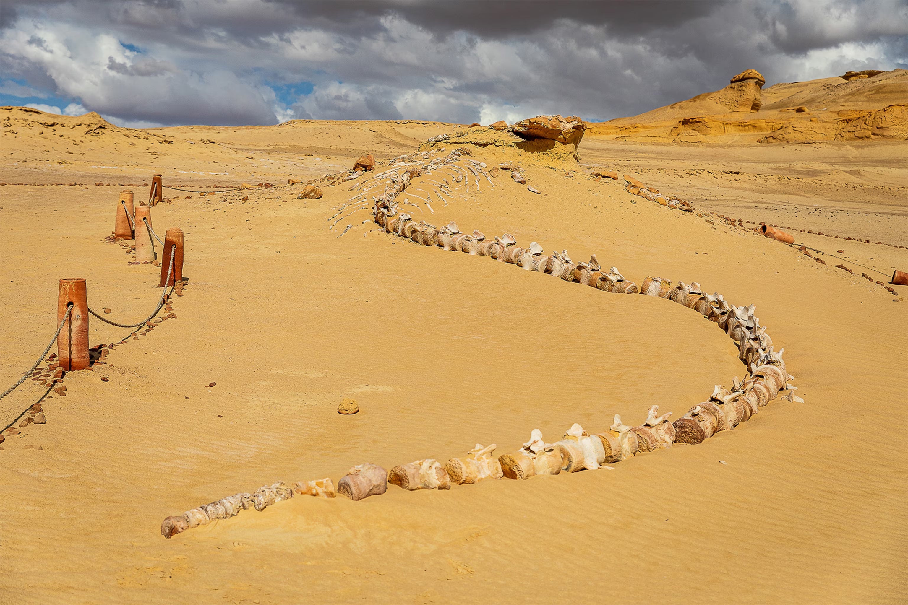 Image of El Fayoum Day Trip from Cairo — Wadi Hitan & Wadi El Rayan