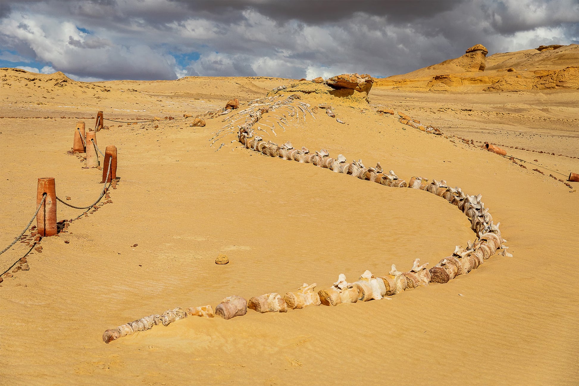 El Fayoum Day Trip from Cairo — Wadi Hitan & Wadi El Rayan