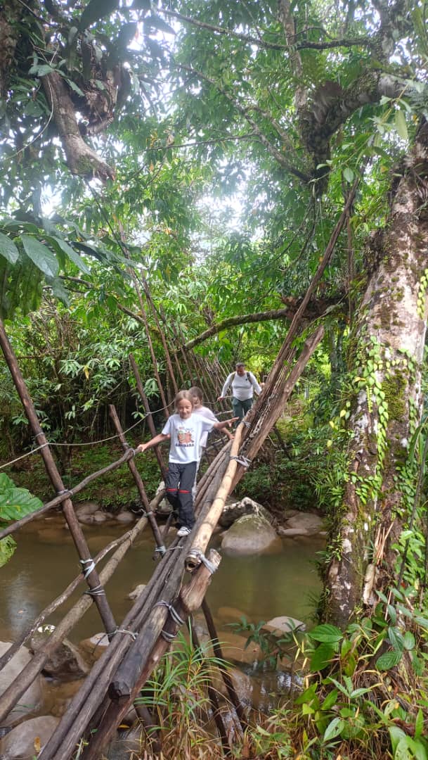 Image of 2D1N BENGOH VALLEY ADVENTURE