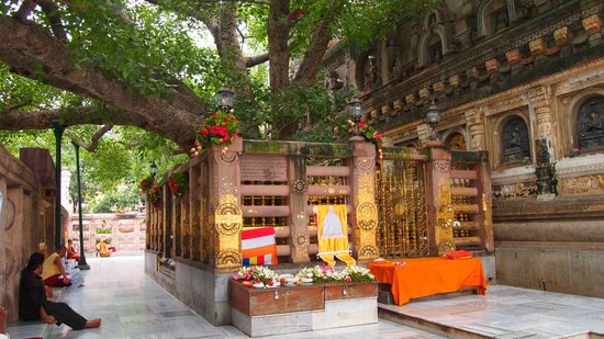 Image of Journey to Nirvana – 9 Nights Buddhist Heritage Tour (3*)
