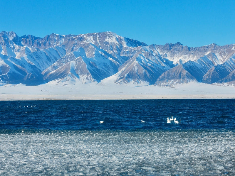 Image of Ili Snow Mountain & Alpine Grassland Nature Immersion 6-Day In-Depth Tour