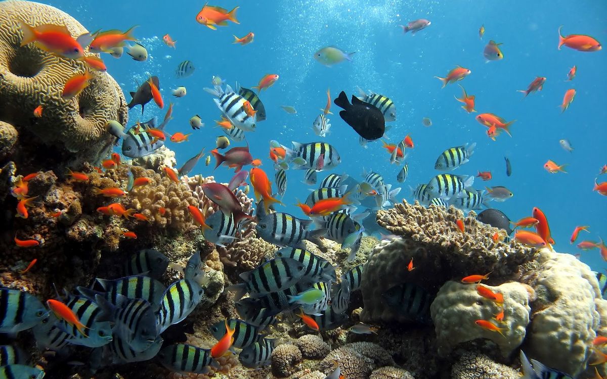 Manado Weekend Escape 3D2N: City Sights, Highlands & Sulfur Lake