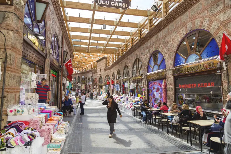 Image of Bursa Private Full-Day Tour: Ottoman Heritage & Cumalıkızık Village - From Istanbul