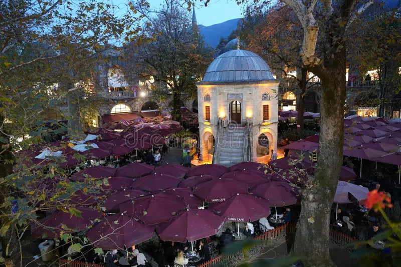 Bursa Private Full-Day Tour: Ottoman Heritage & Cumalıkızık Village - From Istanbul
