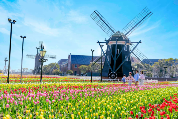 Huis Ten Bosch Magic: A Dutch-Inspired Fantasy Day Tour from Fukuoka