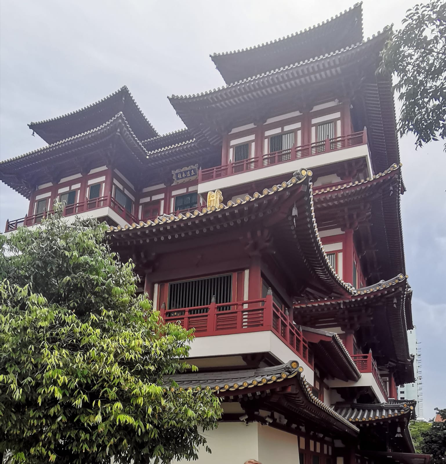 Image of Singapore Signature Walk: Chinatown Culture, Flavors & Green Escapes (Morning)