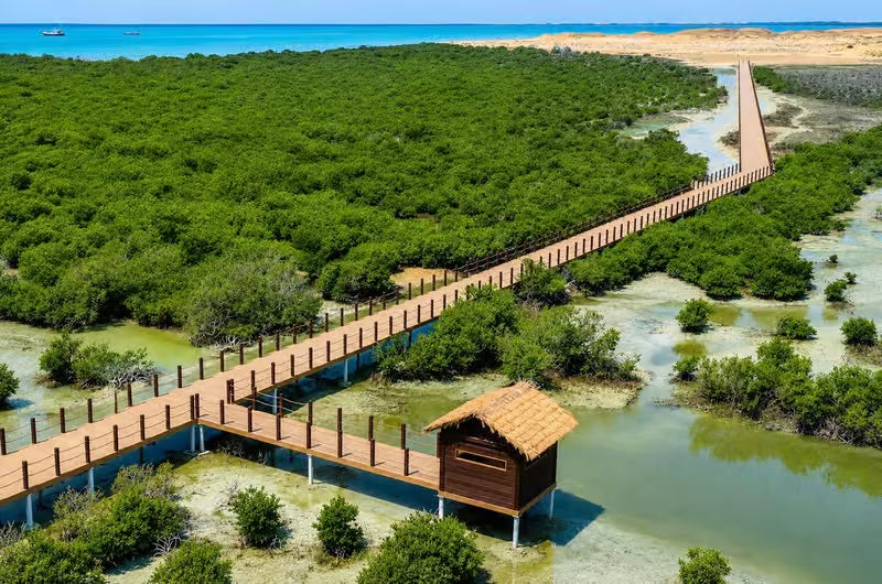 Image of Purple Island Mangrove Kayaking Tour – Hidden Oasis Adventure