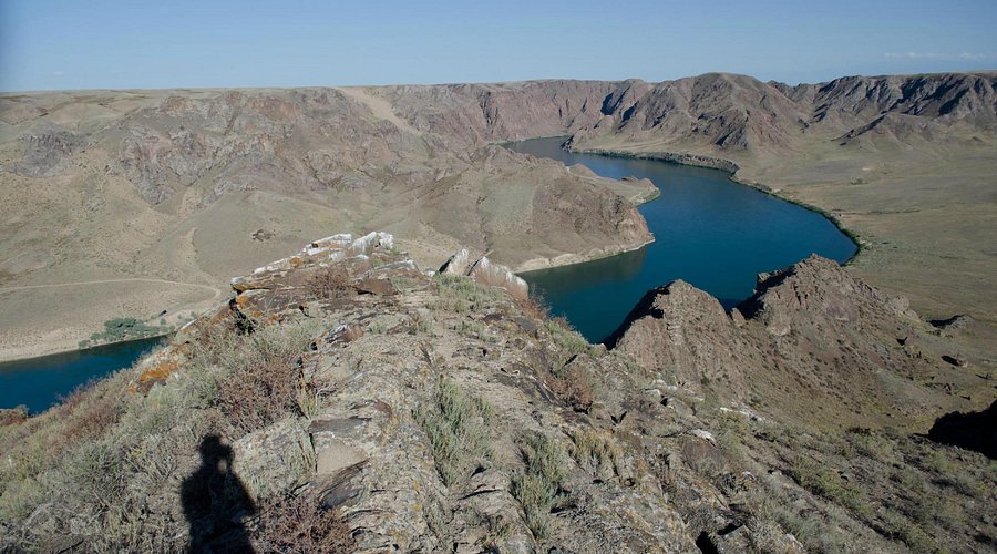 Image of Spirit of the Steppe: Tamgaly Tas & Nomadic Heritage Tour