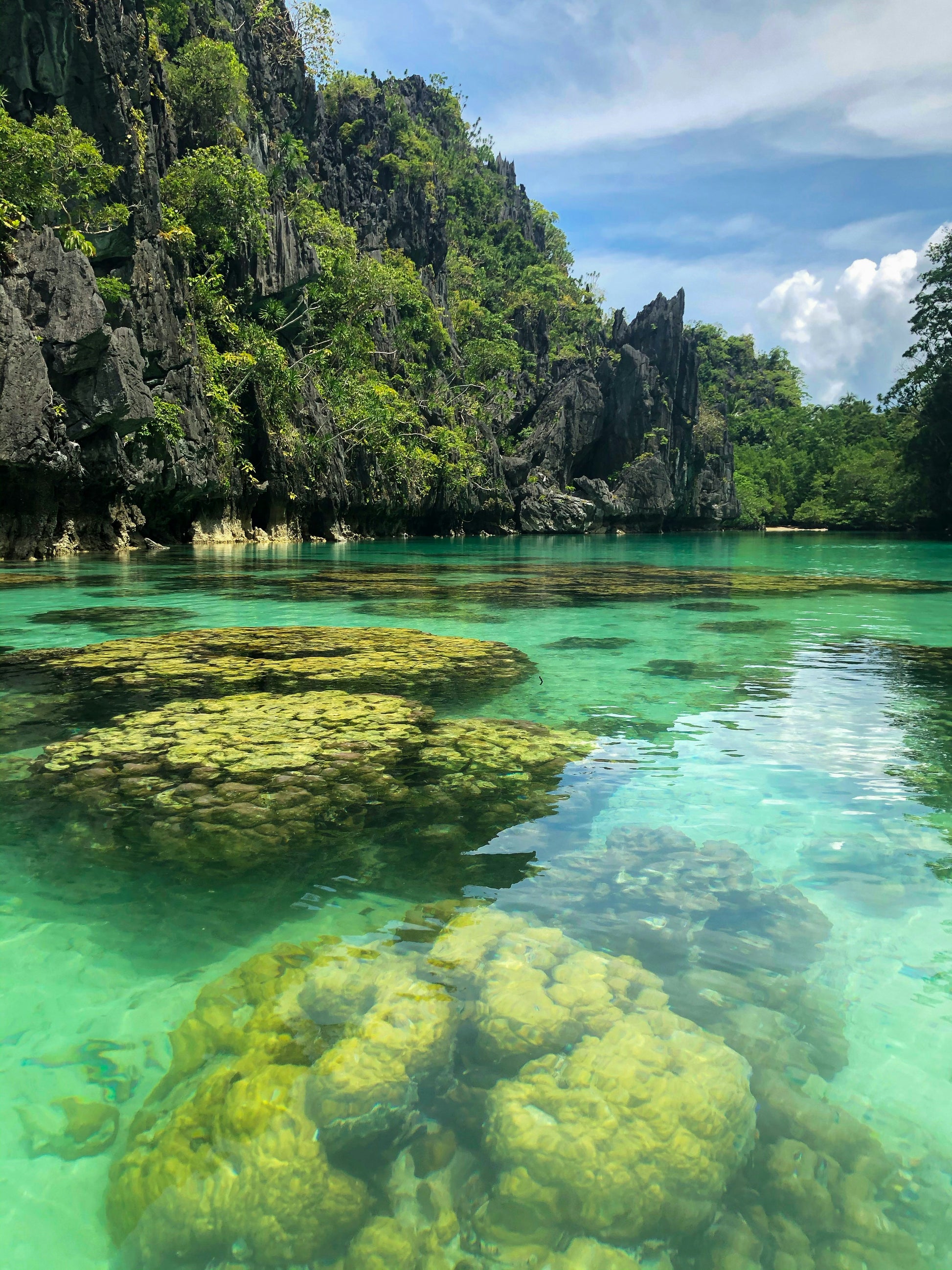 Pristine Paradise: The Definitive El Nido to Coron Island Hopping Tour