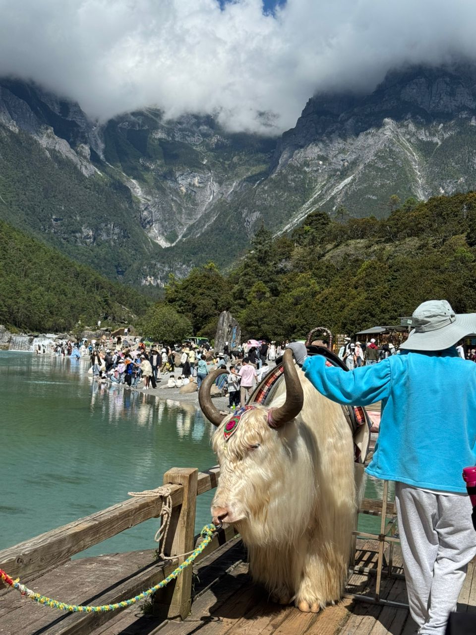 7D Whispers of Shangri-La: A Muslim-Friendly Journey Through Yunnan's Soul