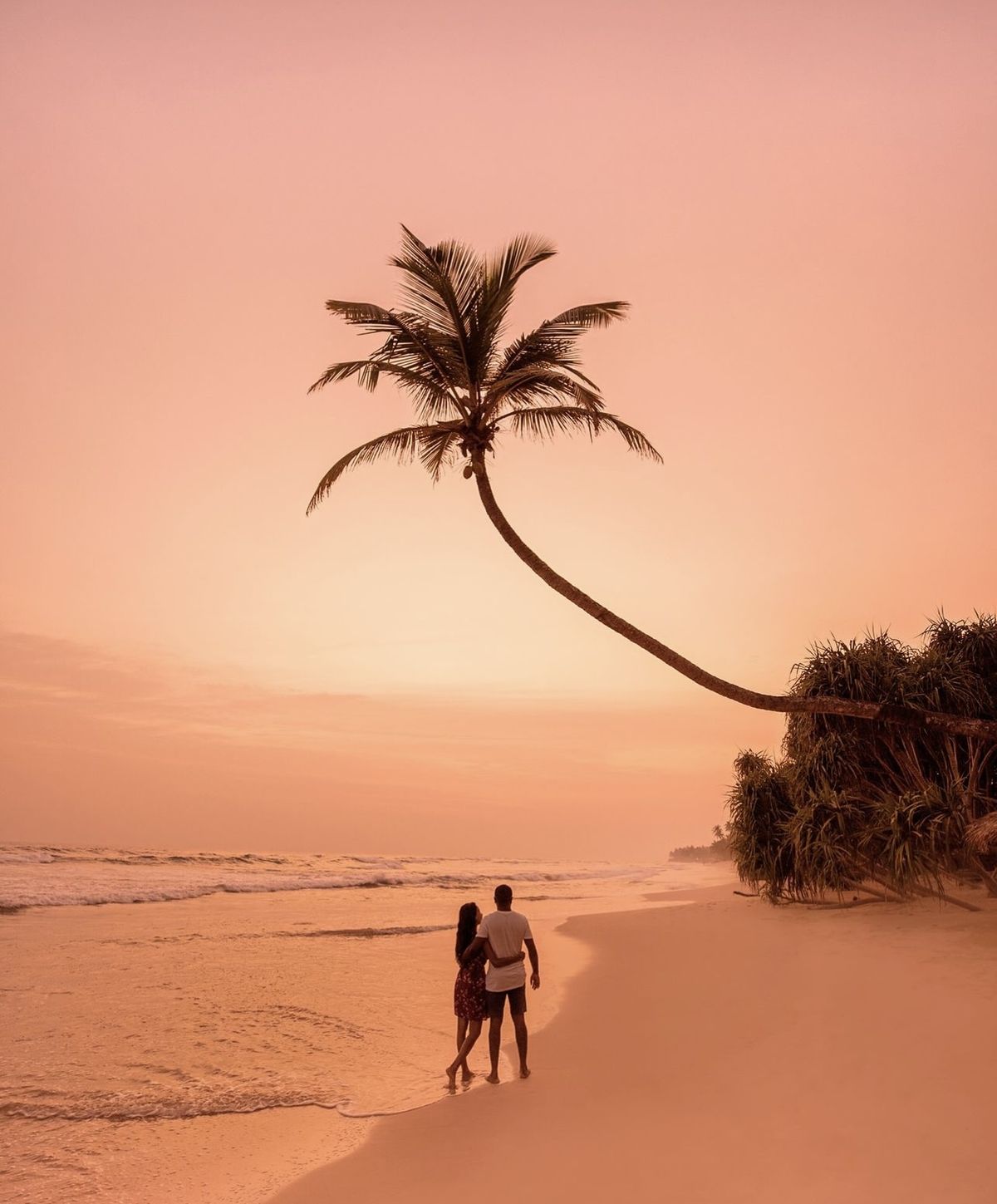 Image of Pearl of the Indian Ocean: 10-Day Sri Lanka Heritage & Nature Journey