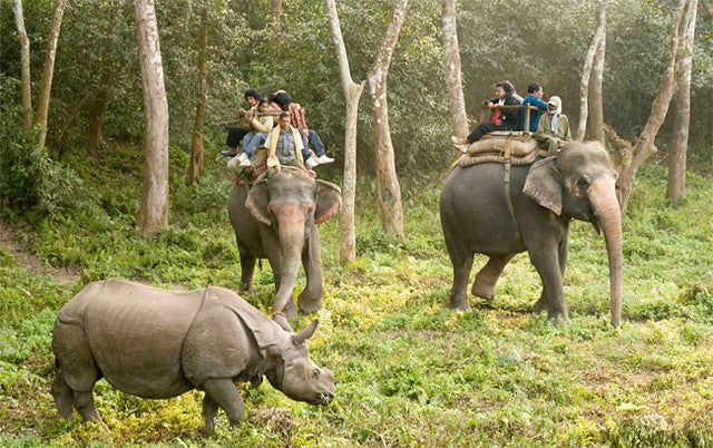 Image of Mystic Nepal Journey: Heritage, Villages & Everest Views (5* Hotel)