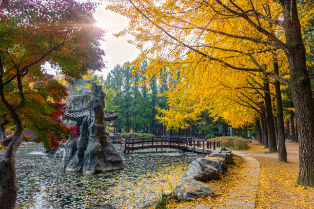 Lakeside Peaks & Vivaldi Escape: From Seoul to Chuncheon + Hongcheon Day Drive (10 hrs)