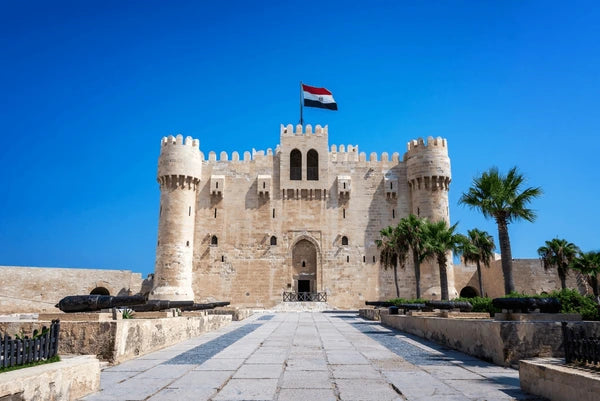 Overnight Cairo Tour from Alexandria — Pyramids, Sakkara & Egyptian Museum