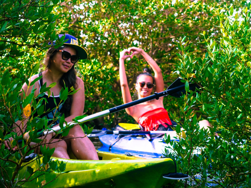 Hidden Oasis Adventure: Kayaking Through Purple Island’s Mangroves