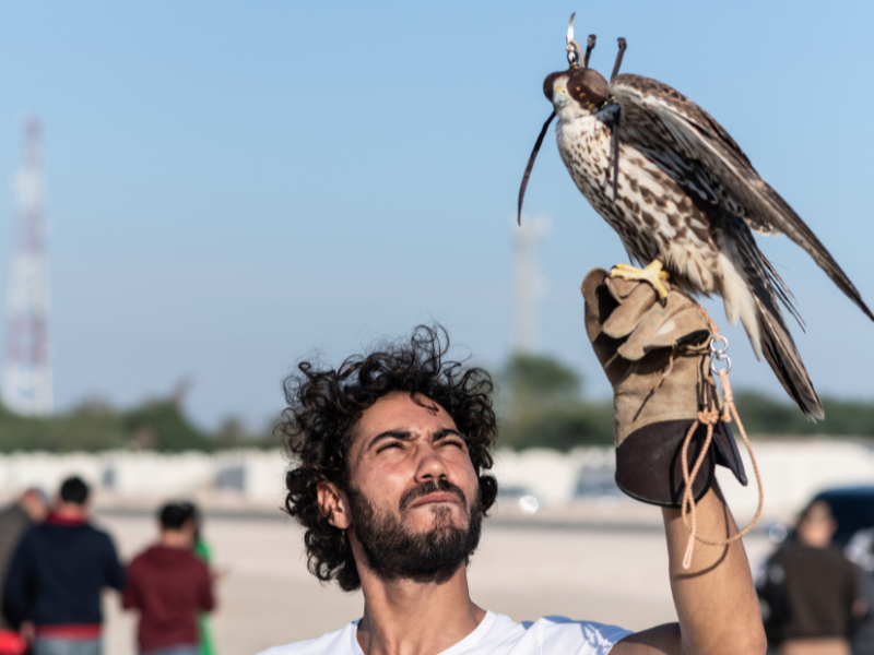 Desert Express: A Quick Escape to Qatar’s Dunes & Inland Sea Wonders