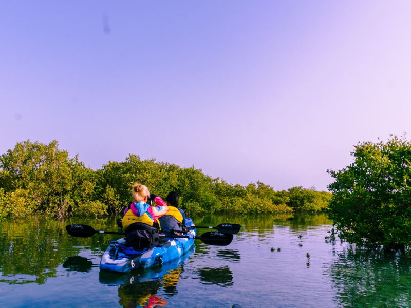 Paddle Through Paradise: Al Mafjar Mangroves Kayaking & SUP Nature Escape