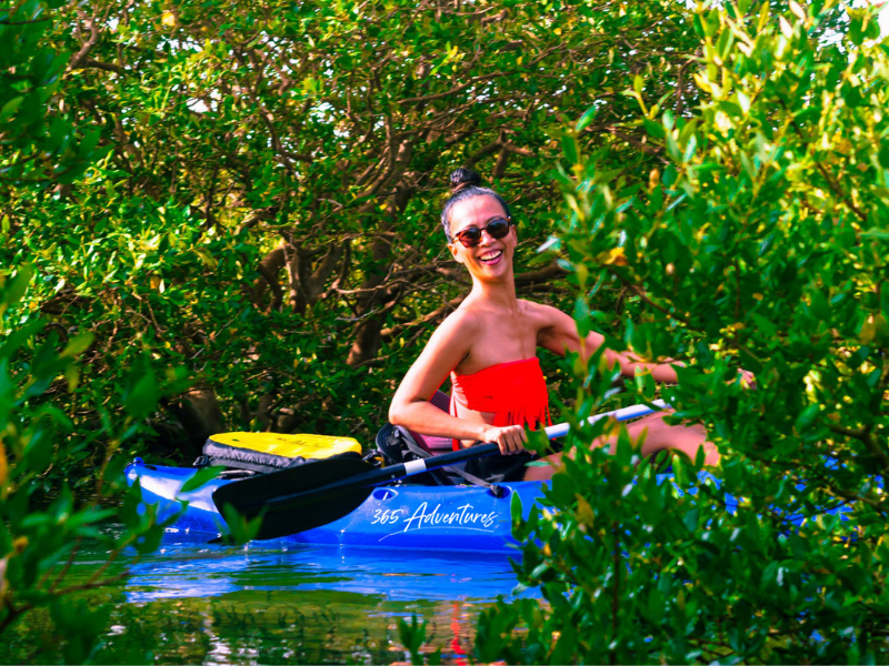 Paddle Through Paradise: Al Mafjar Mangroves Kayaking & SUP Nature Escape