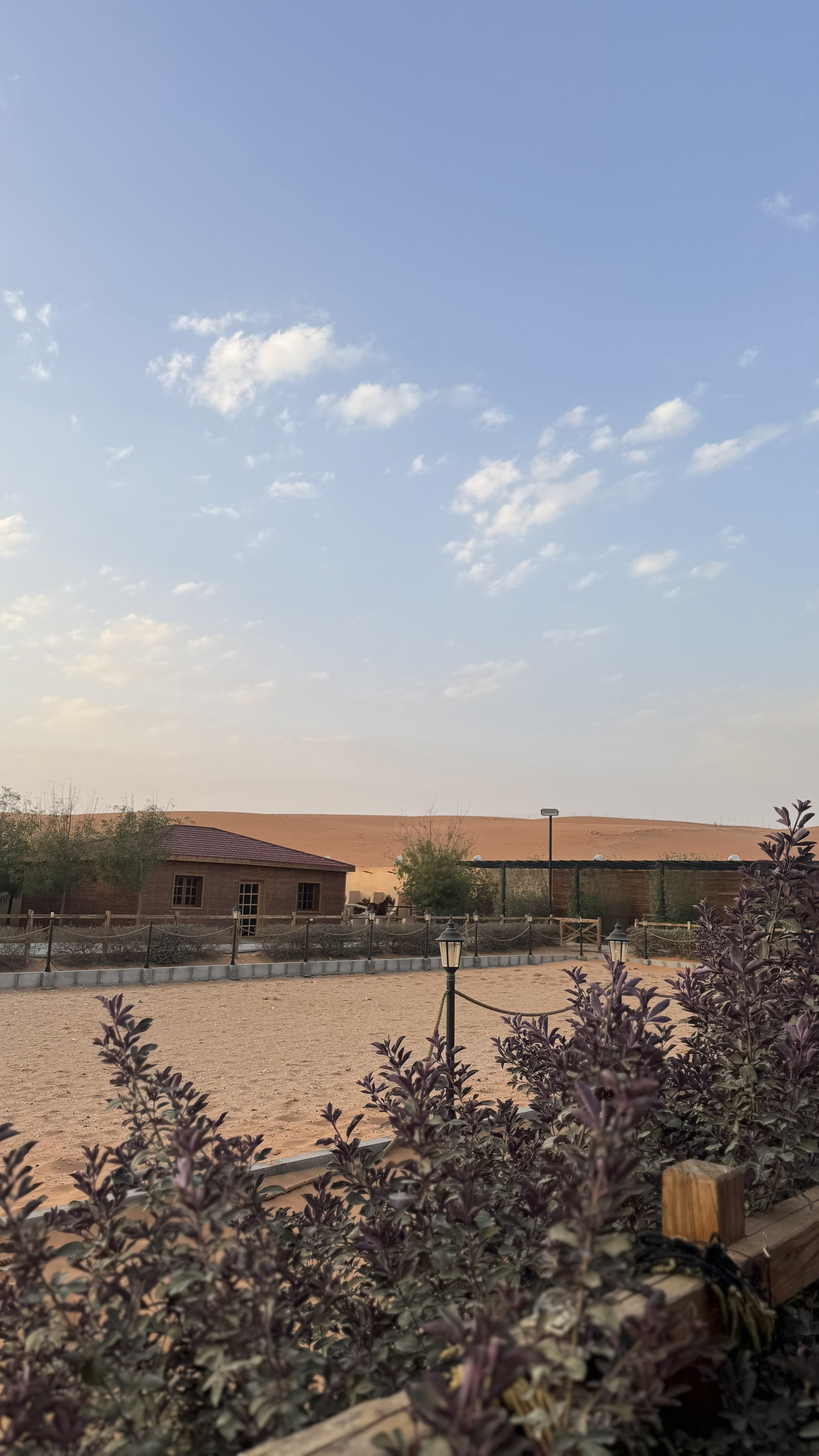 Image of Sunrise Horse Riding in Red Sand Dunes — Riyadh Desert Safari