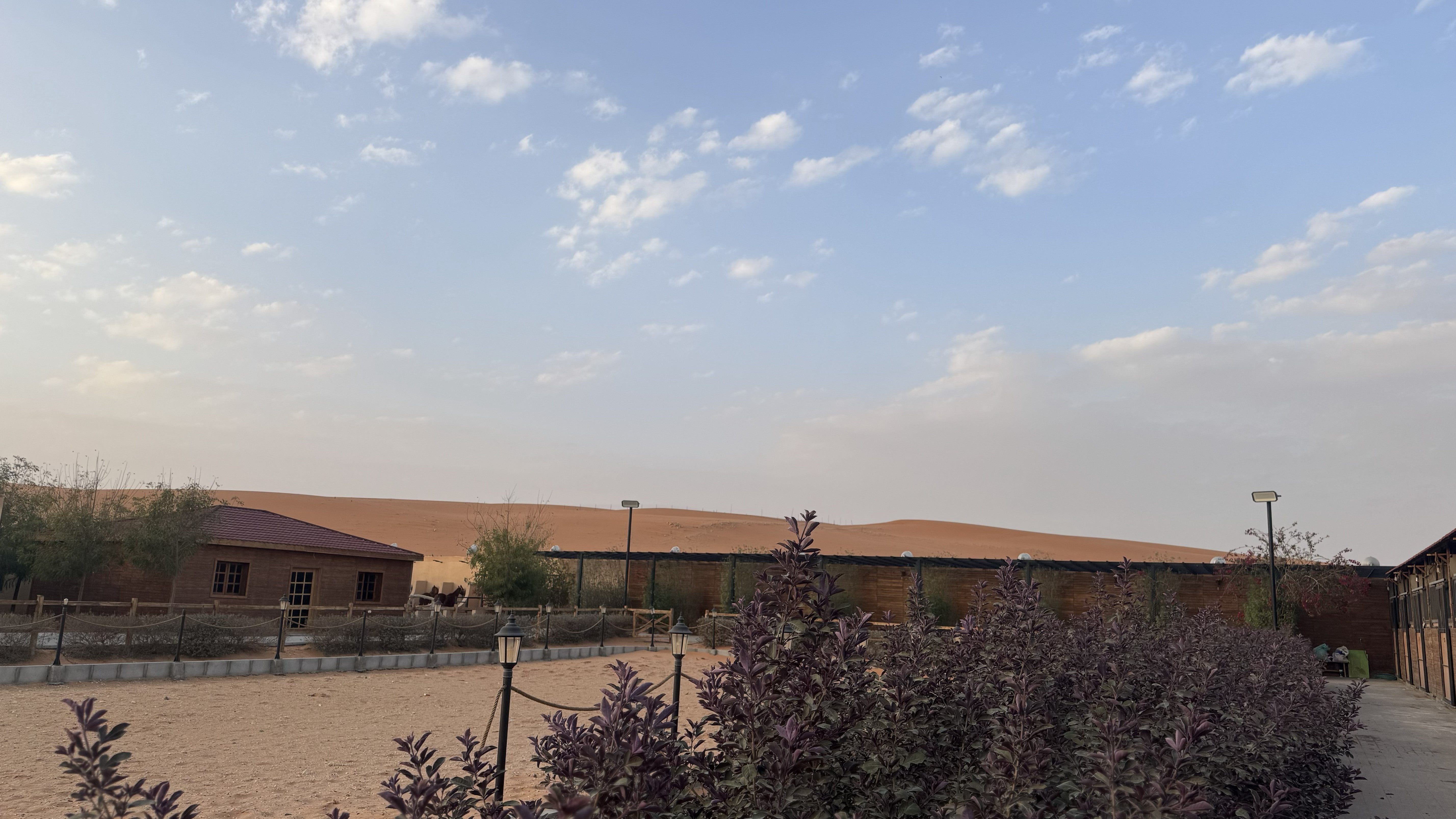 Image of Sunrise Horse Riding in Red Sand Dunes — Riyadh Desert Safari
