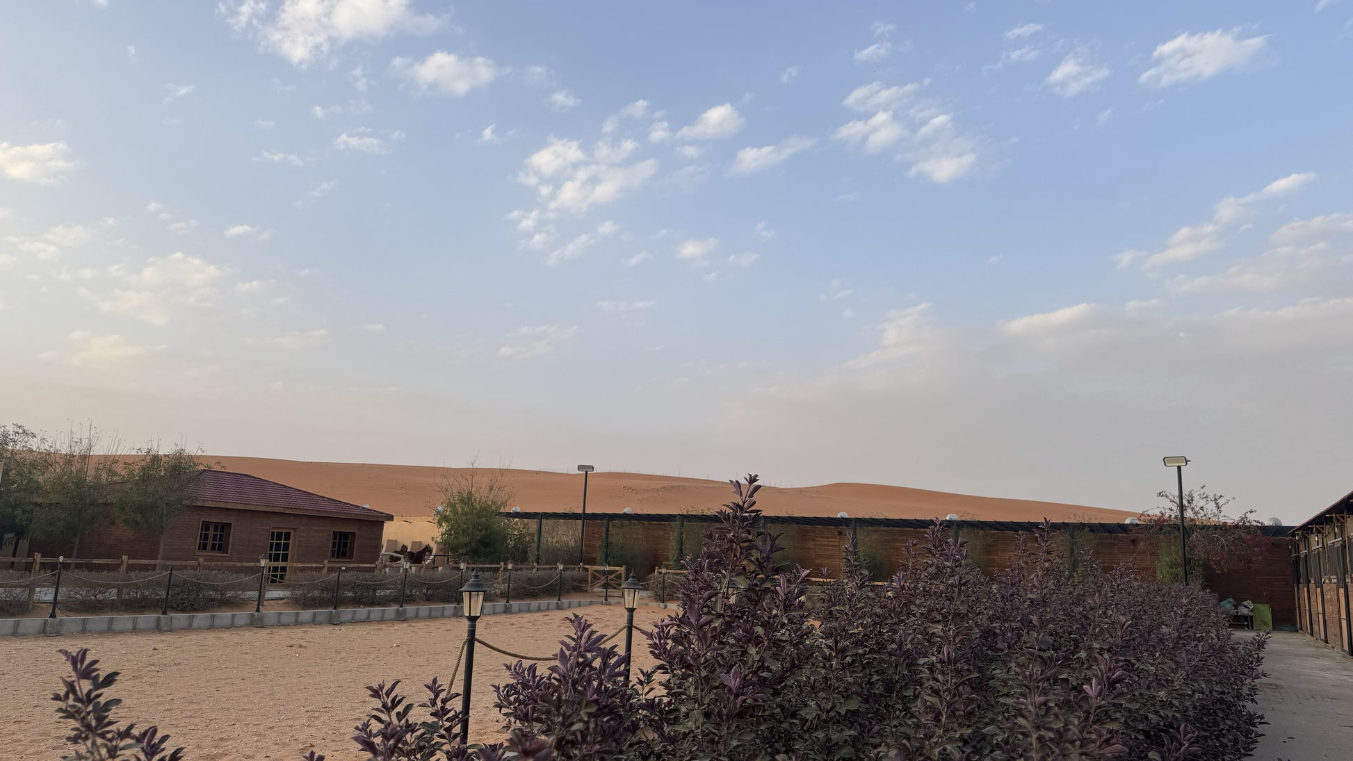 Sunrise Horse Riding in Red Sand Dunes — Riyadh Desert Safari