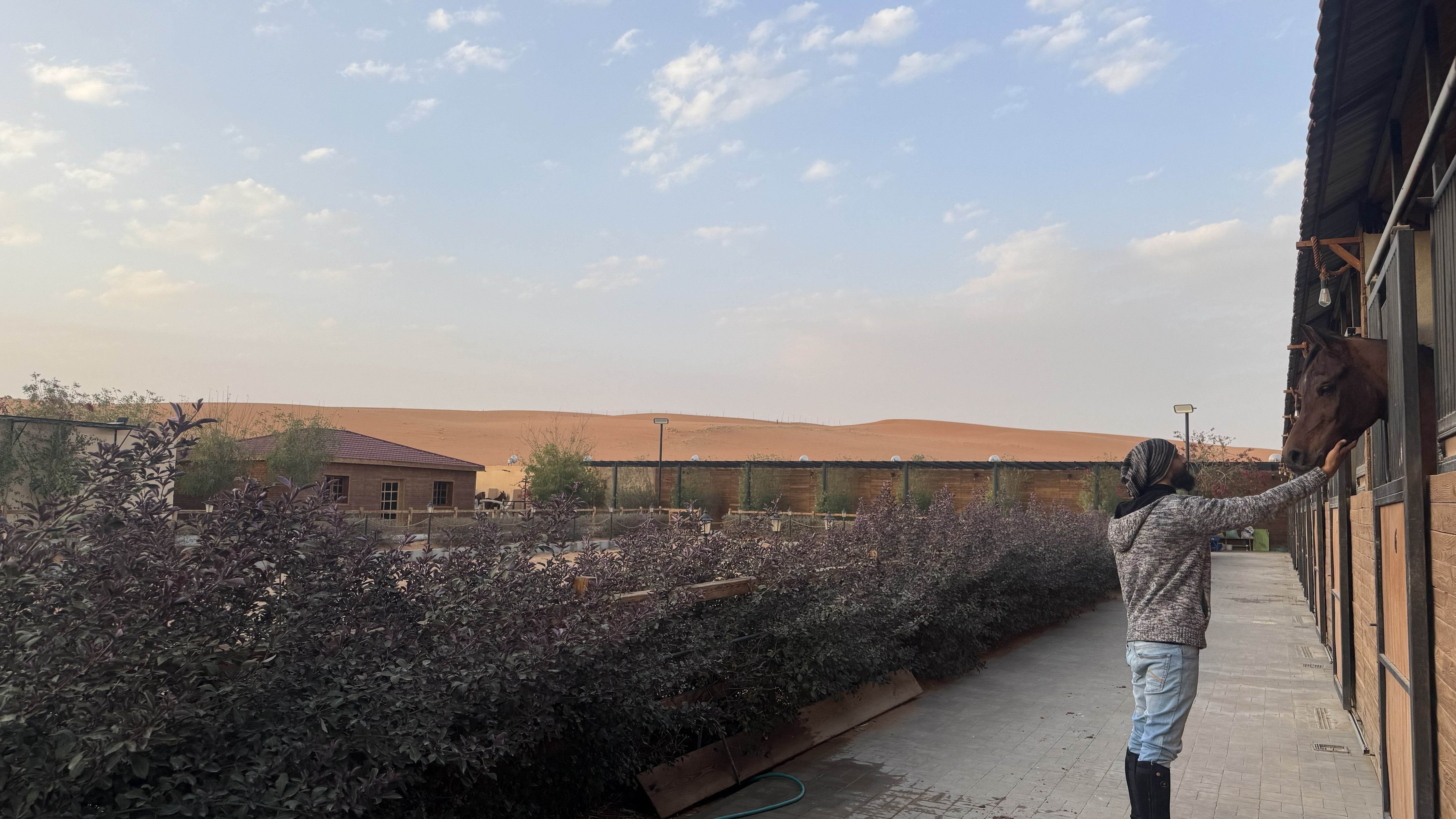 Image of Sunrise Horse Riding in Red Sand Dunes — Riyadh Desert Safari