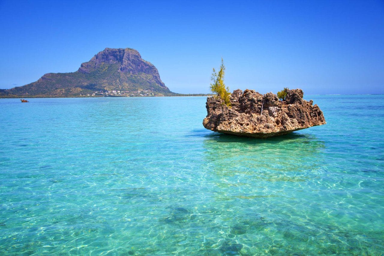 Image of Swim with Dolphins & Island Escape – Crystal Rock & Île aux Bénitiers Tour