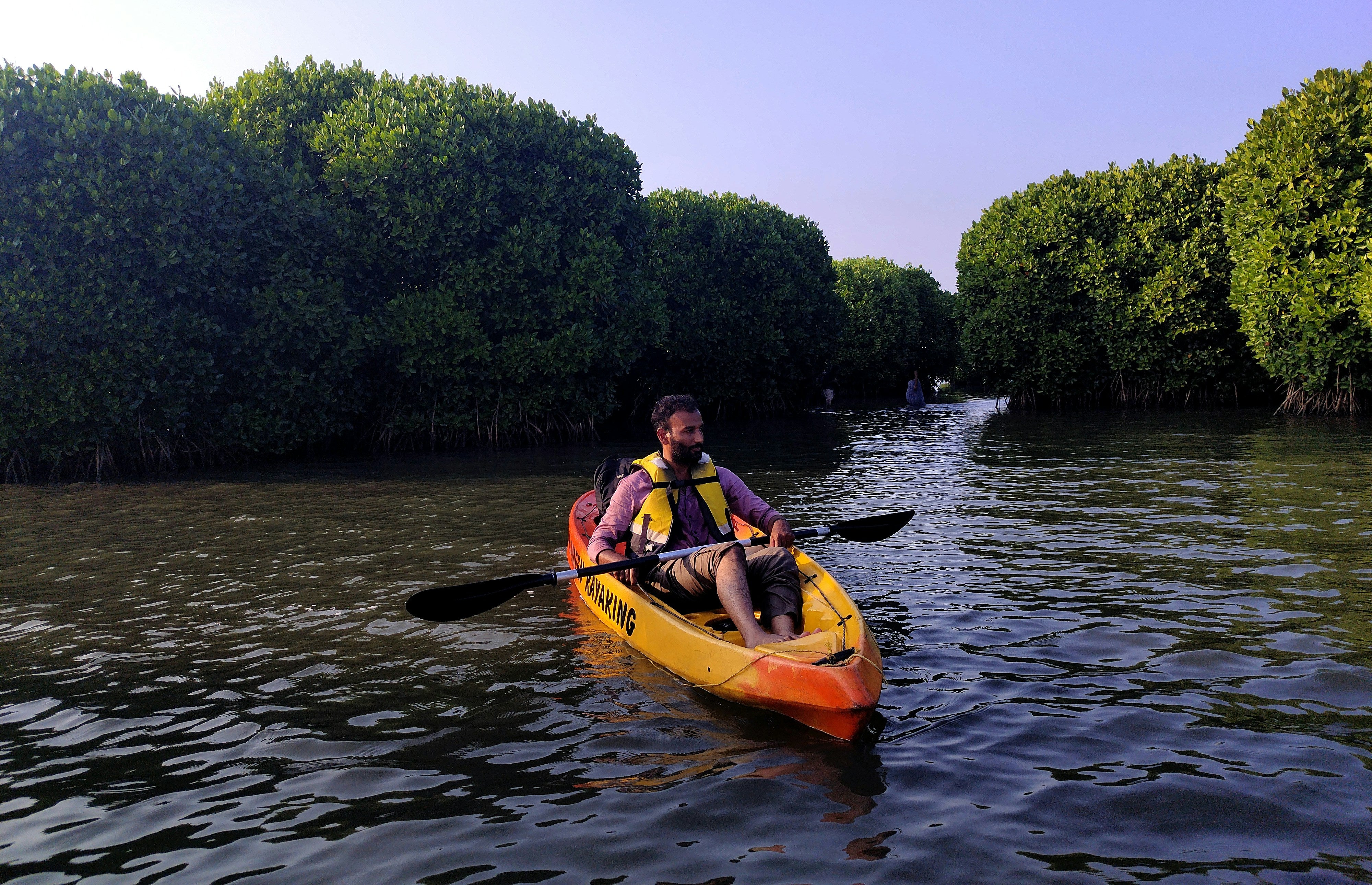 Image of Al Mafjar Mangrove Kayaking & SUP Tour – Qatar Nature Escape