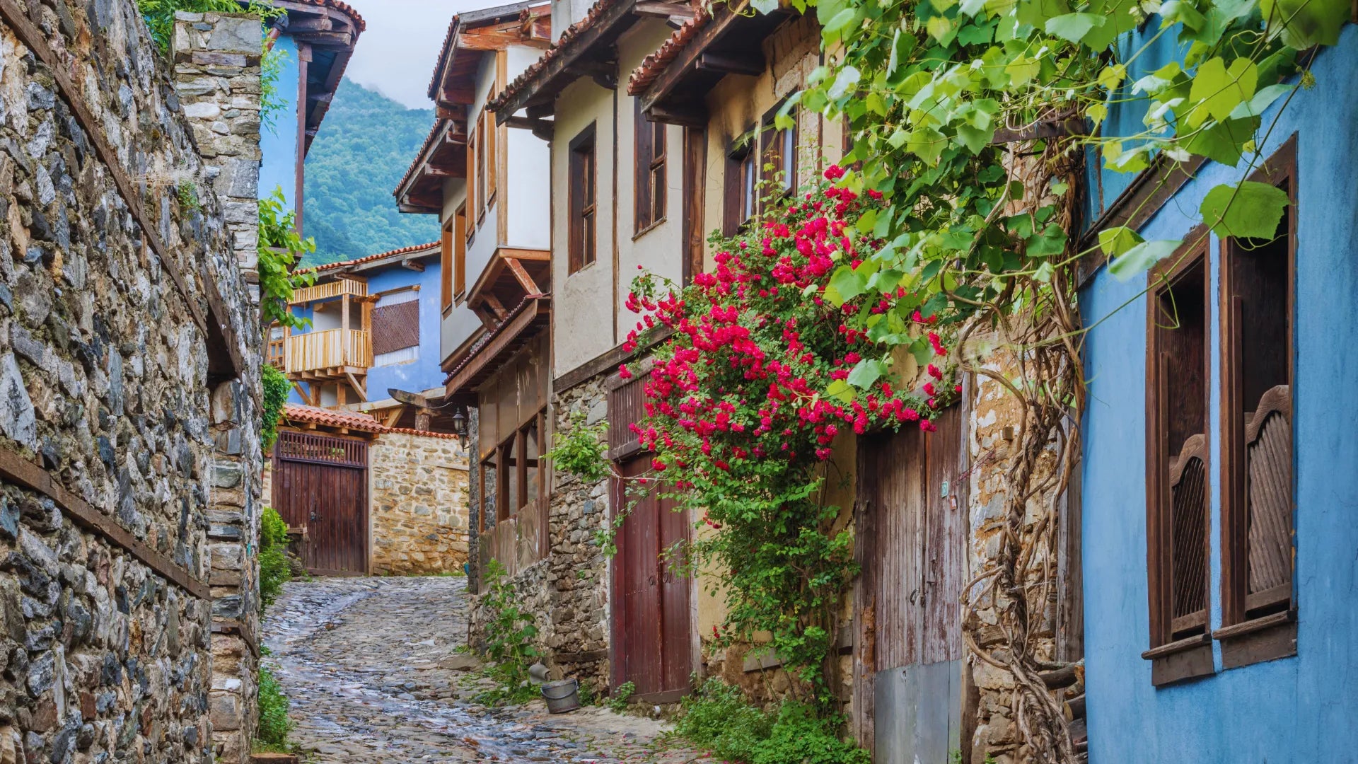 Image of Bursa Private Full-Day Tour: Ottoman Heritage & Cumalıkızık Village - From Istanbul