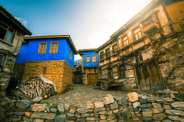 Bursa Private Full-Day Tour: Ottoman Heritage & Cumalıkızık Village - From Istanbul