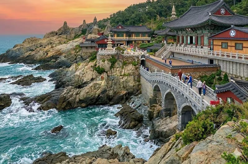 Image of 5D Nami Island, Seoul & Busan Experience - Muslim Friendly