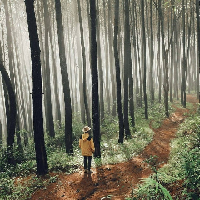 5-Day Jogja Wonders: Caves, Coasts, and Castles