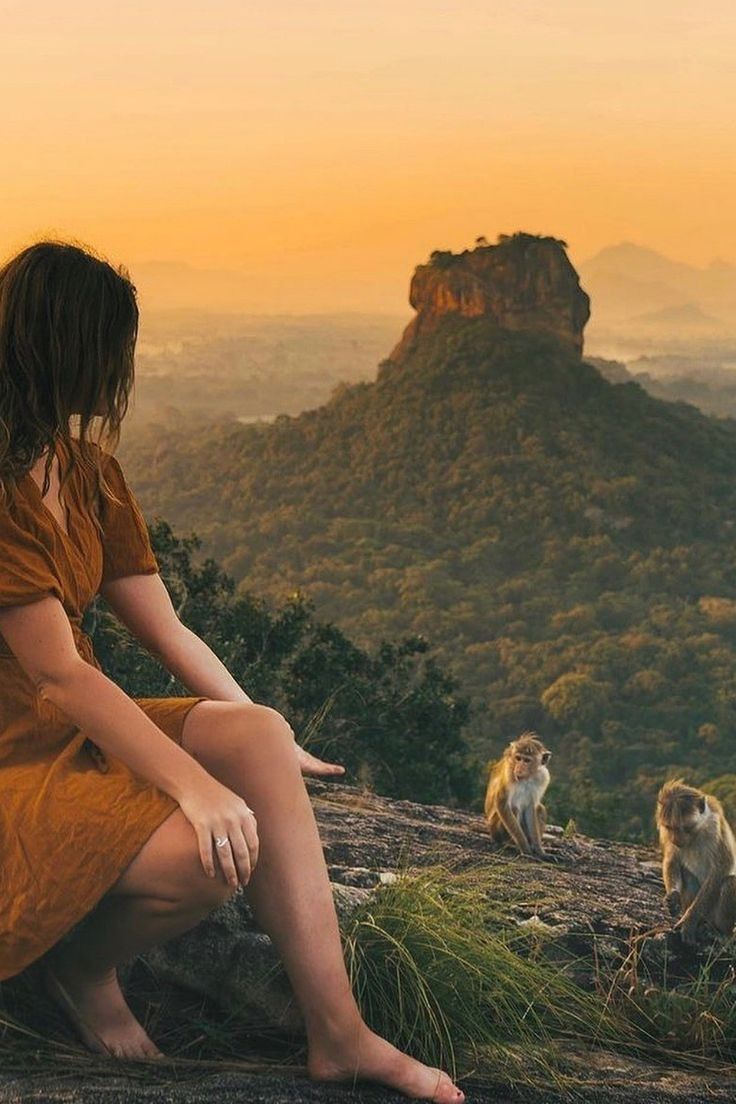 Image of 6D Sri Lanka Express Journey: Ancient Wonders & Scenic Escapes