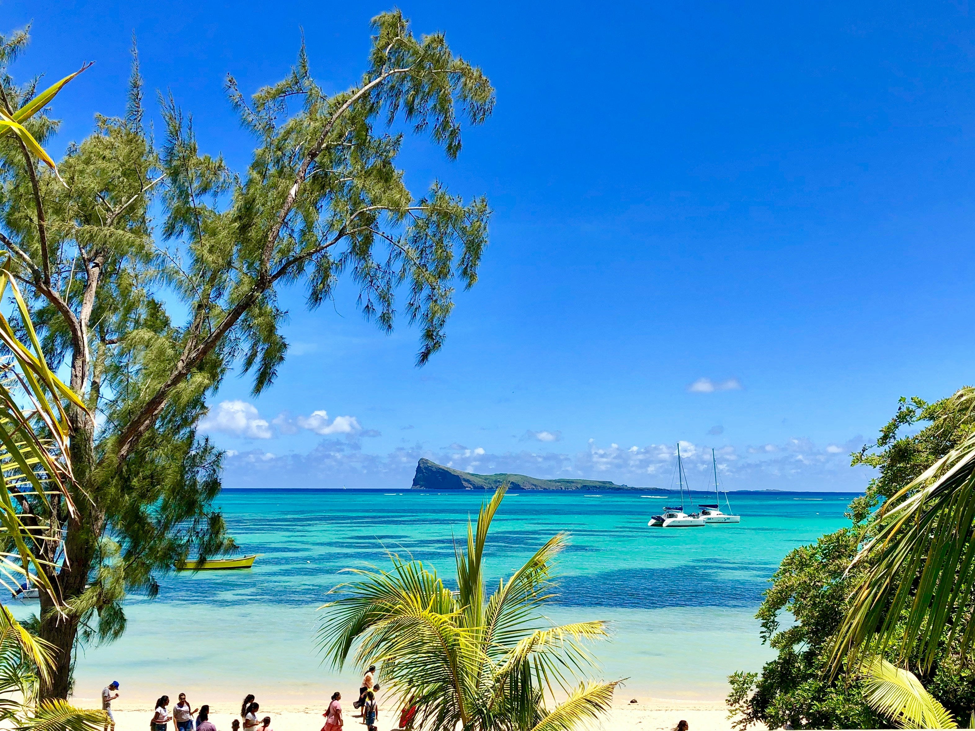 Image of Mauritius Whale & Dolphin Safari – Nature’s Most Emotional Experience