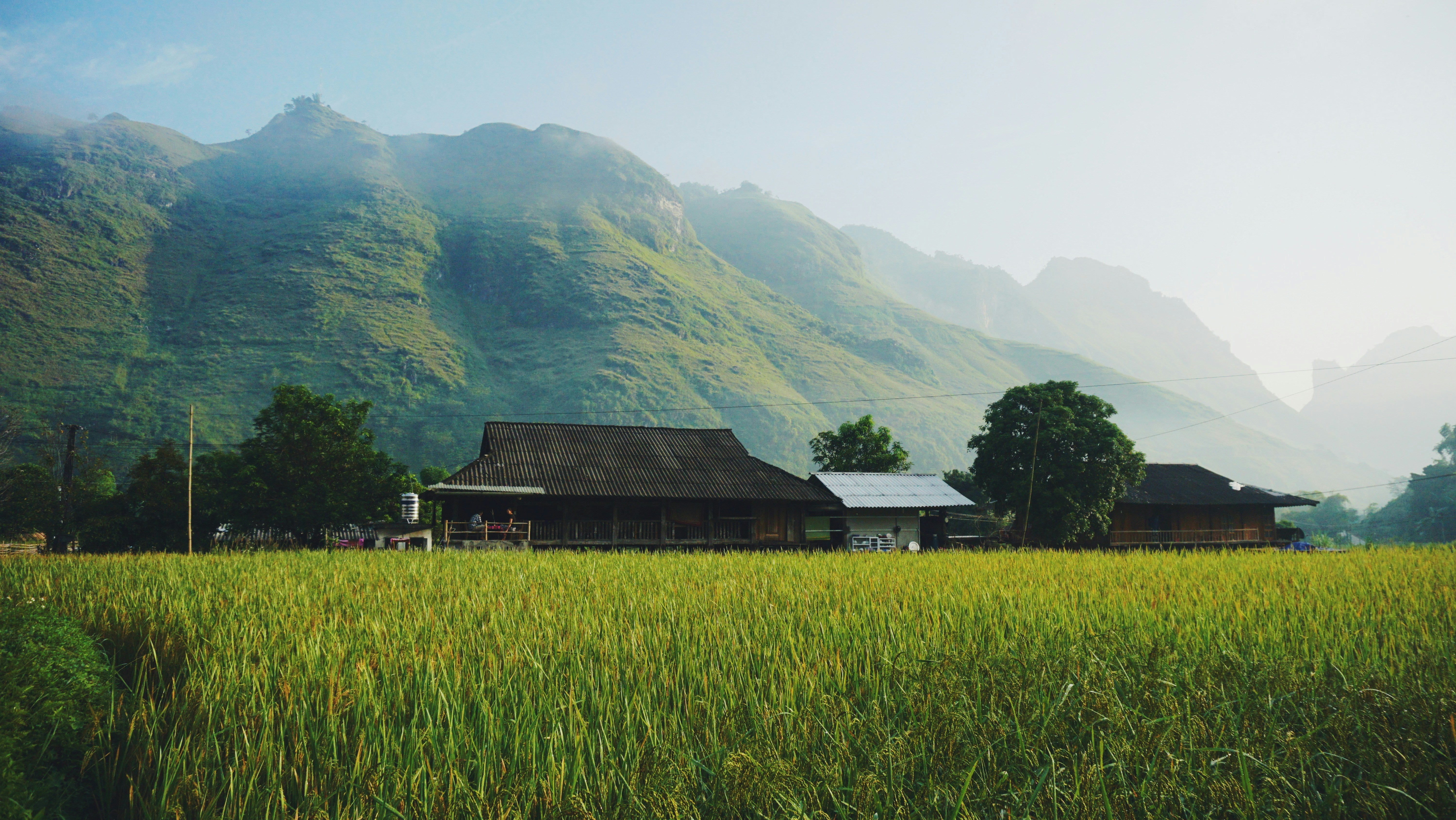 Image of Best of Vietnam 15-Day Classic Tour: Hanoi, Halong, Sapa & Mekong Delta