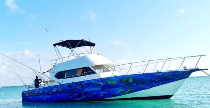 Deep Sea Fishing Mauritius: Reel the Giants of the Indian Ocean
