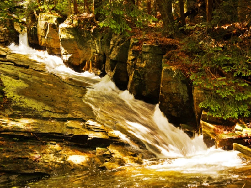 Image of 6-Day Ailao Mountains & Xishuangbanna Rainforest Nature Tour