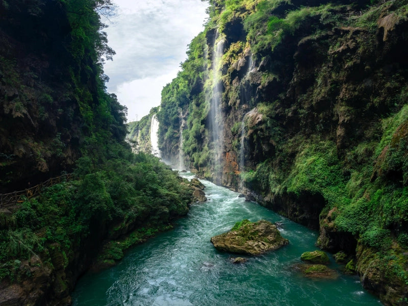 Image of 6-Day Ailao Mountains & Xishuangbanna Rainforest Nature Tour