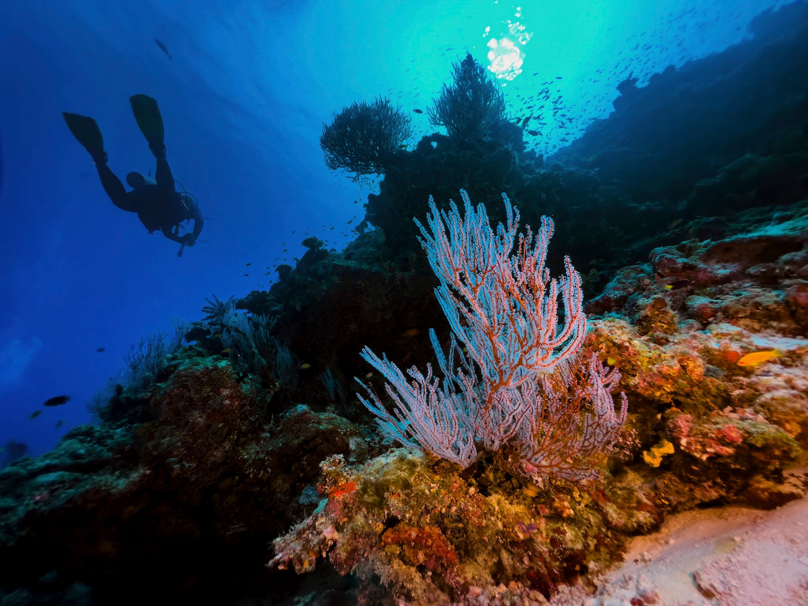 Image of 4 Nights  Sunrise Villa - Maldivian Paradise: A Serene Escape at Canareef Resort