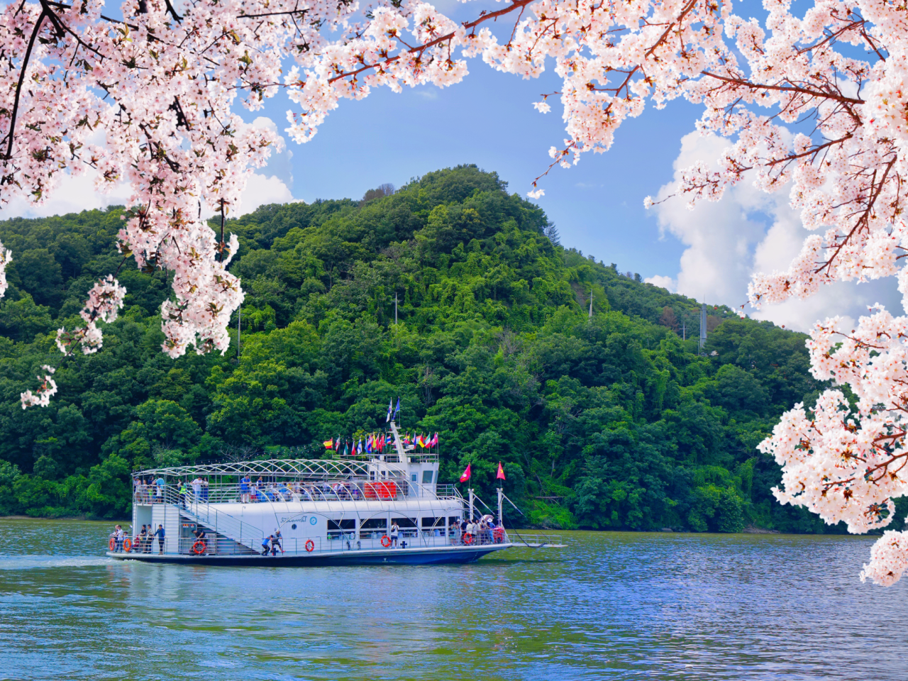 Image of Enjoy a ferry ride to Nami Island