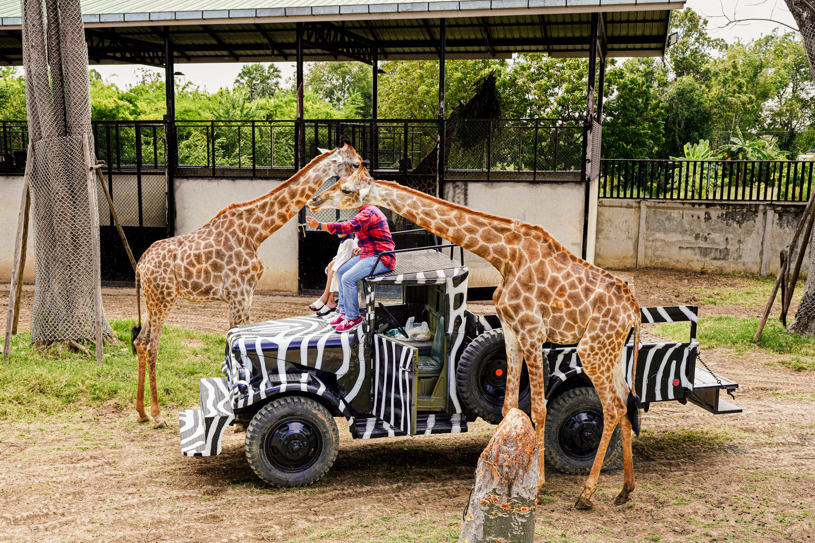 Wildlife & Wonders: Ayutthaya Lion Park, Thai Costume & Ancient Temples Adventure