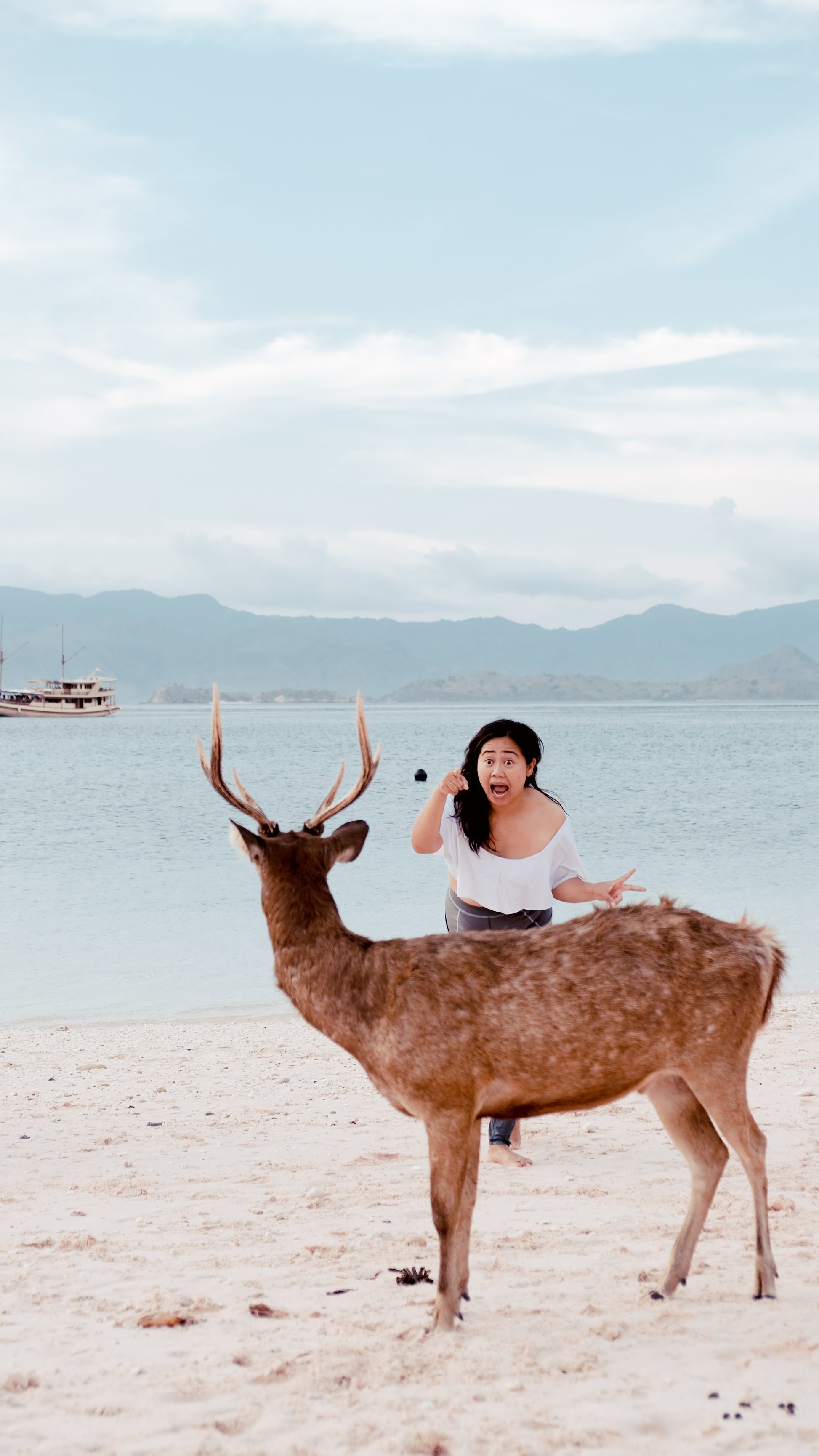 Komodo Island Hopping Tour – Padar Trek, Pink Beach & Manta Point Snorkeling