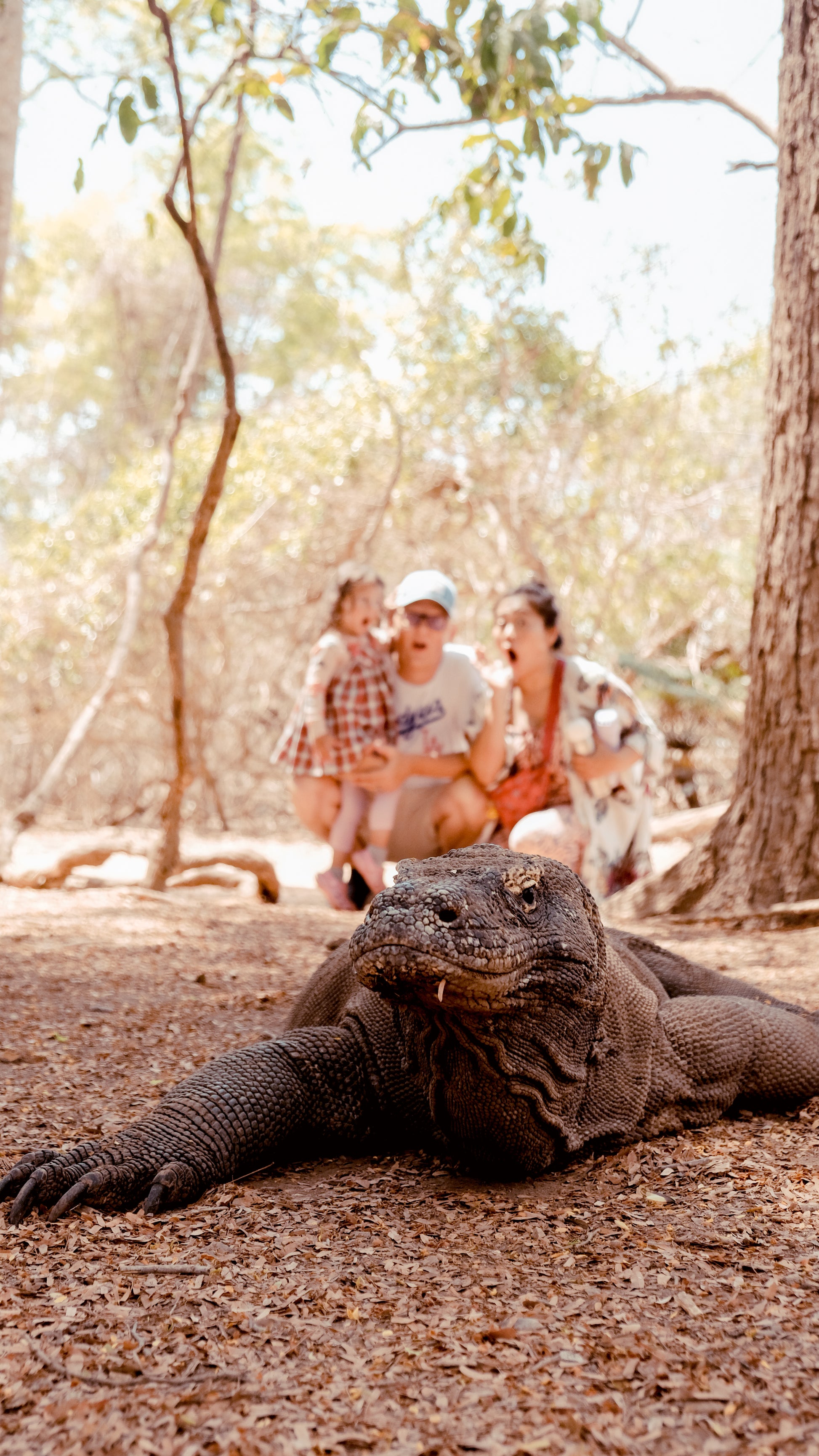 Half-Day Komodo Sailing Tour – Kelor Island, Menjerite Snorkeling & Sunset Bats