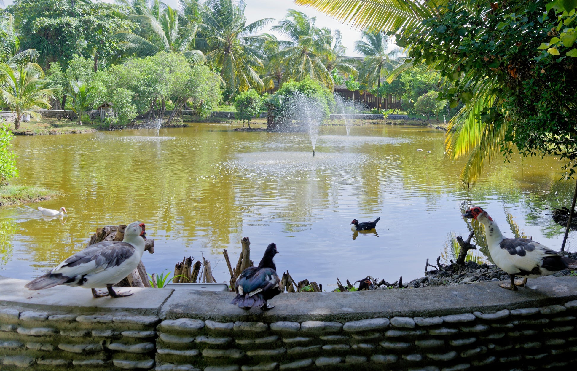 4 Nights  Sunrise Villa - Maldivian Paradise: A Serene Escape at Canareef Resort