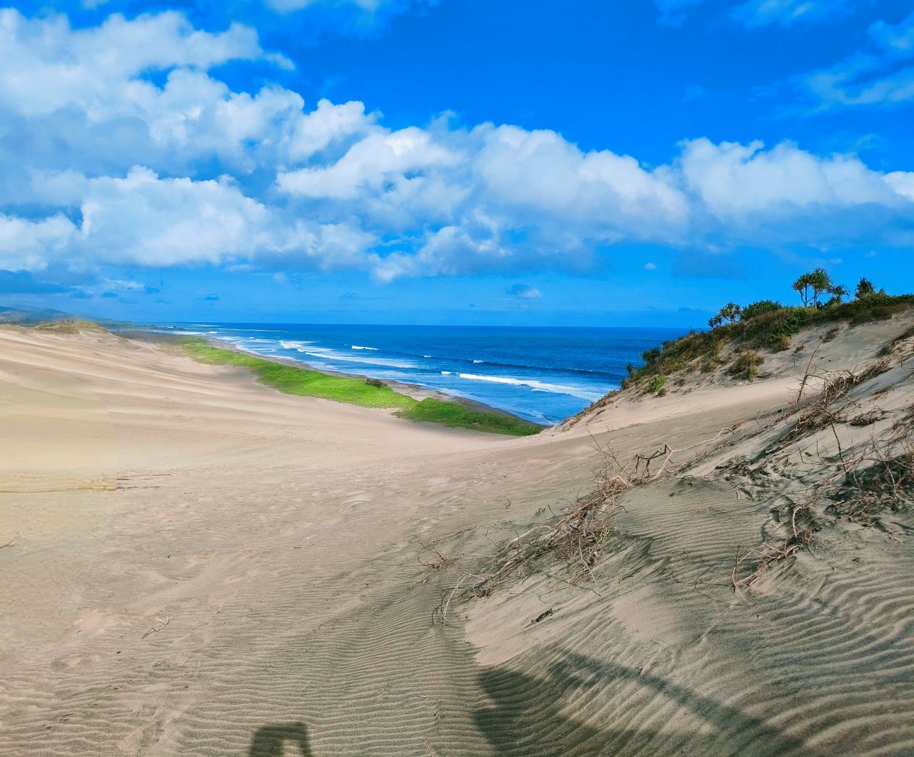 From Rainforest to Sand Dunes: Biausevu Waterfall & Sigatoka Adventure