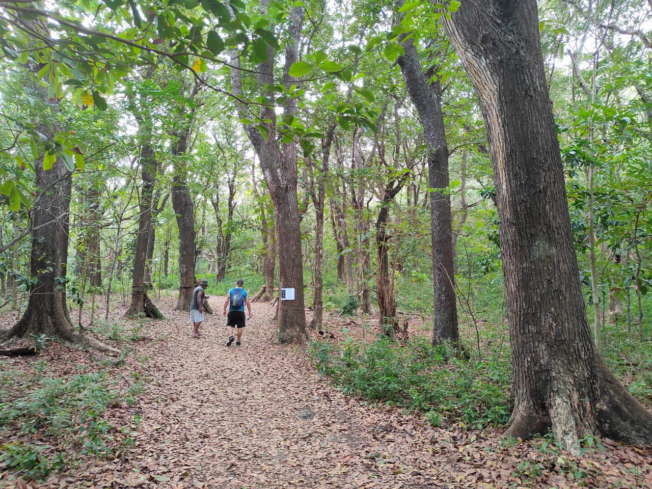 Image of Wild Fiji Discovery: Biausevu Waterfall Swim & Pacific’s Largest Sand Dunes