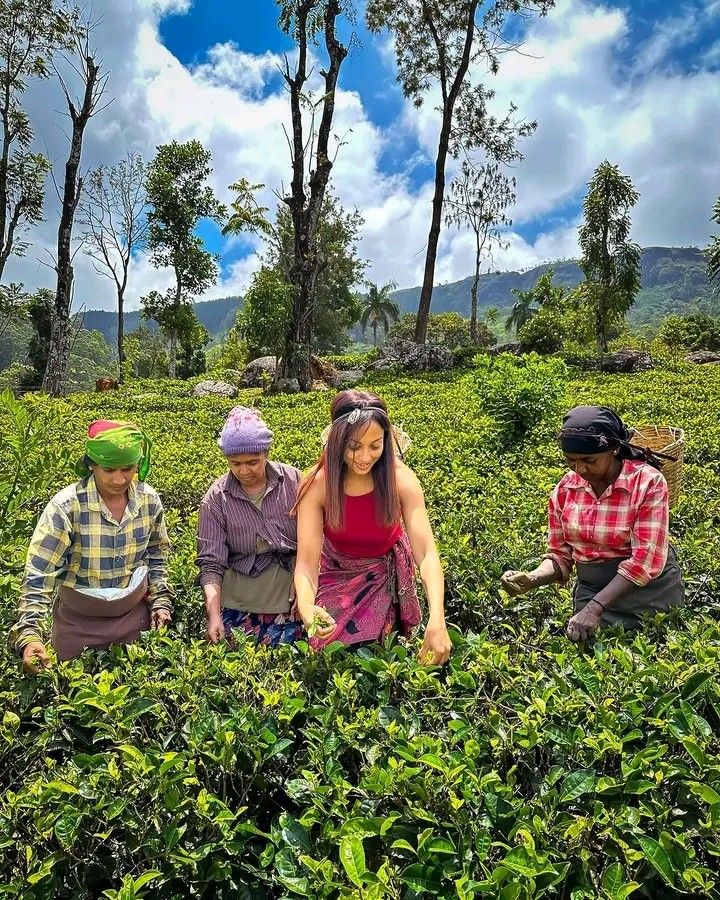 Golden Triangle to Coast: 7-Day Sri Lanka Discovery Tour