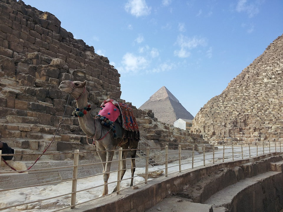Image of 6-Day Cairo & Alexandria Essential History Tour